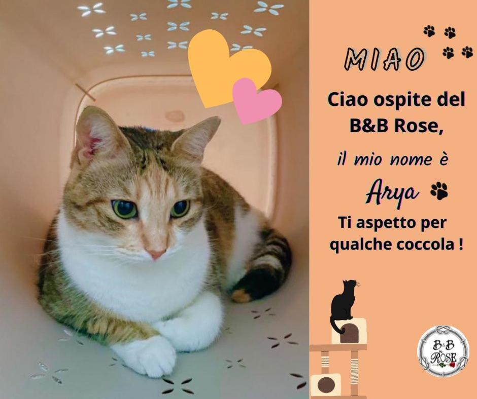 B&B Rose Osimo Esterno foto