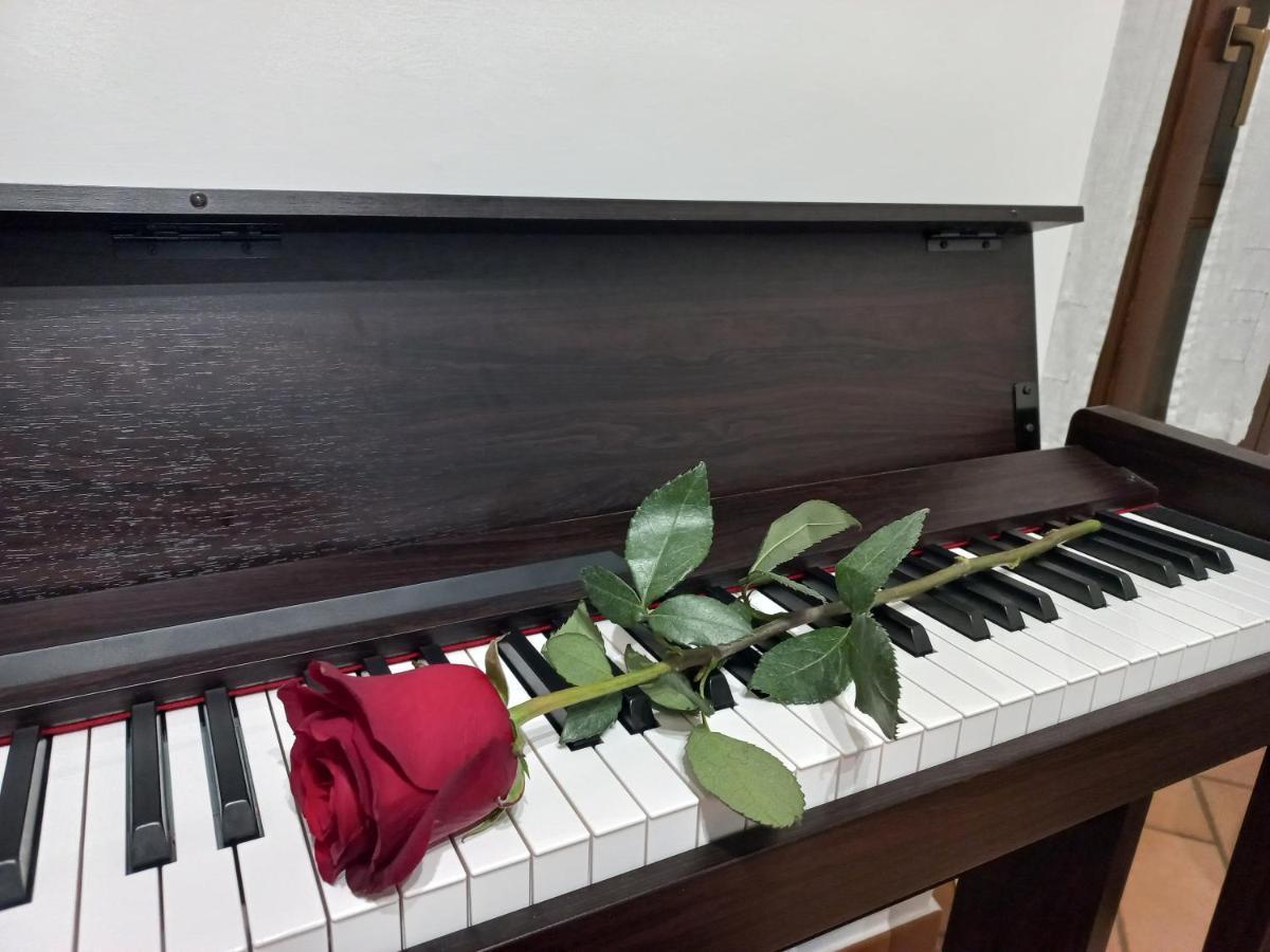 B&B Rose Osimo Esterno foto